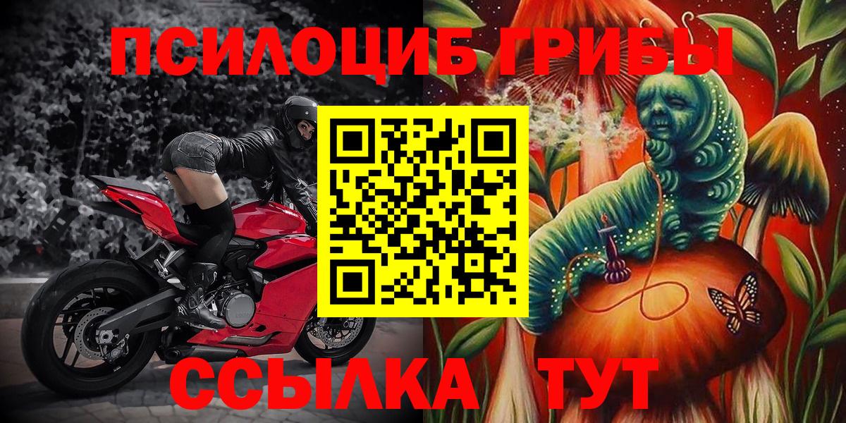 Псилоцибиновые грибы MAGIC MUSHROOMS  Вход с VPN  Люберцы 